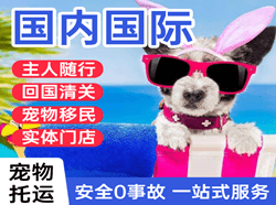 曹家堡空运地址国际宠物托运 【国